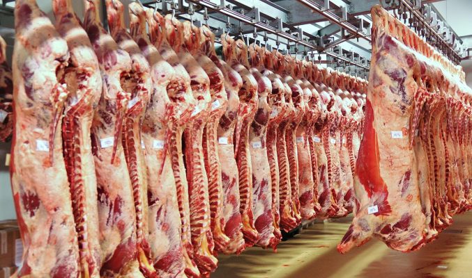 Kho lạnh bảo quản thịt lợn chất lượng tại Đà Nẵng