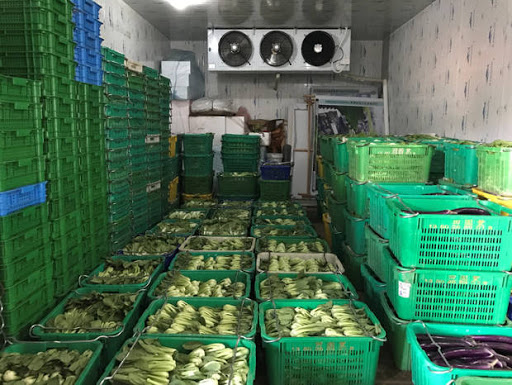 Kho lạnh rau củ quả - nông sản tại Đà Nẵng chuyên nghiệp