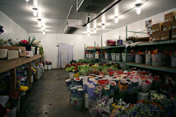 Kho lạnh bảo quản hoa tươi tại Đà Nẵng ở đâu chuyên nghiệp?
